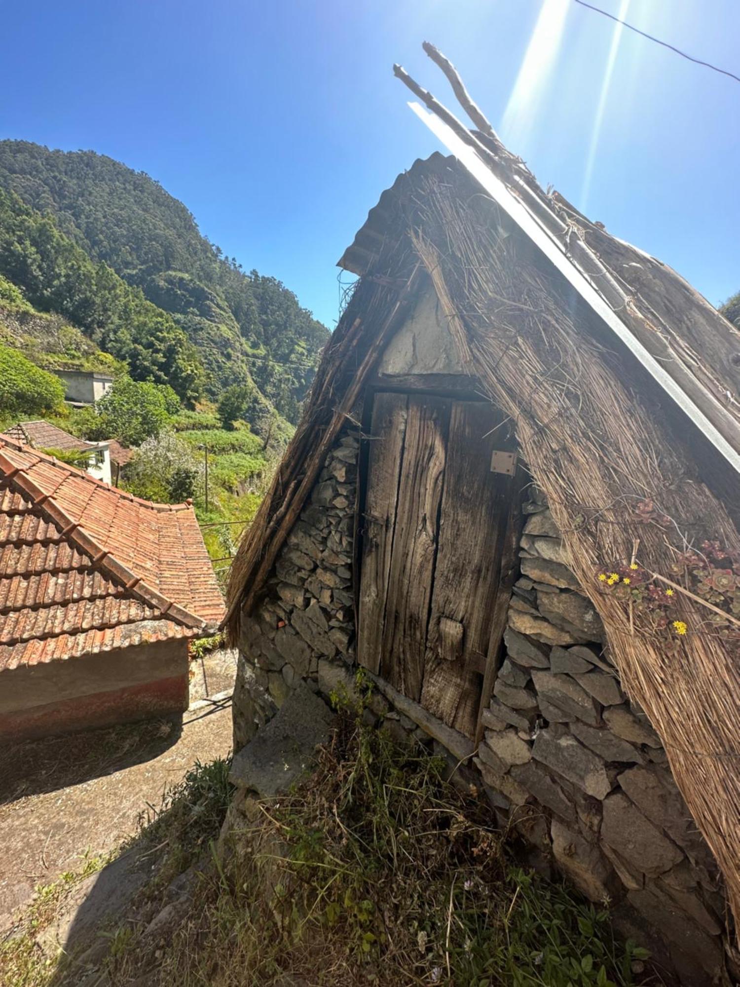 The Green Valley House São Vicente エクステリア 写真