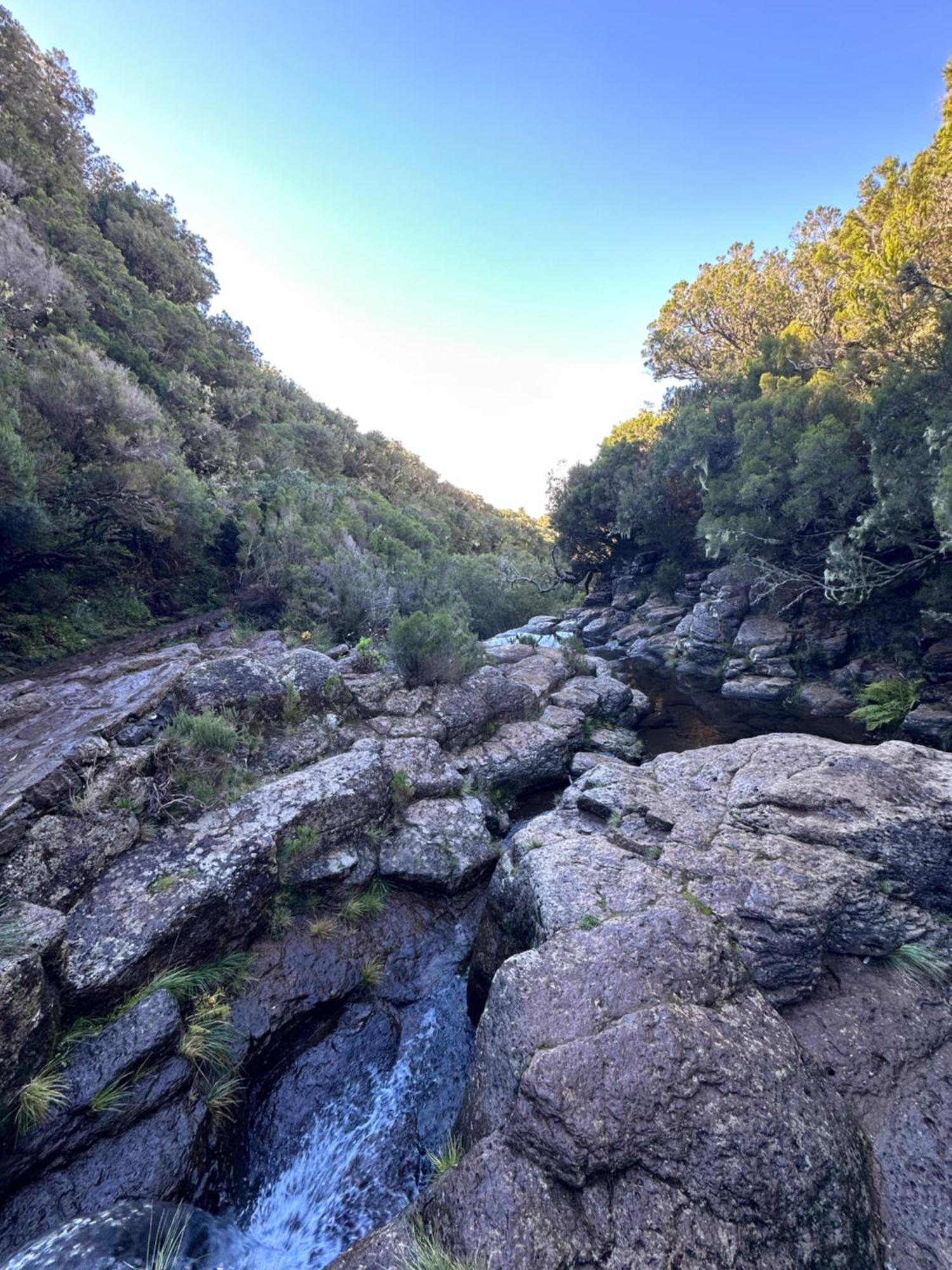 The Green Valley House São Vicente エクステリア 写真