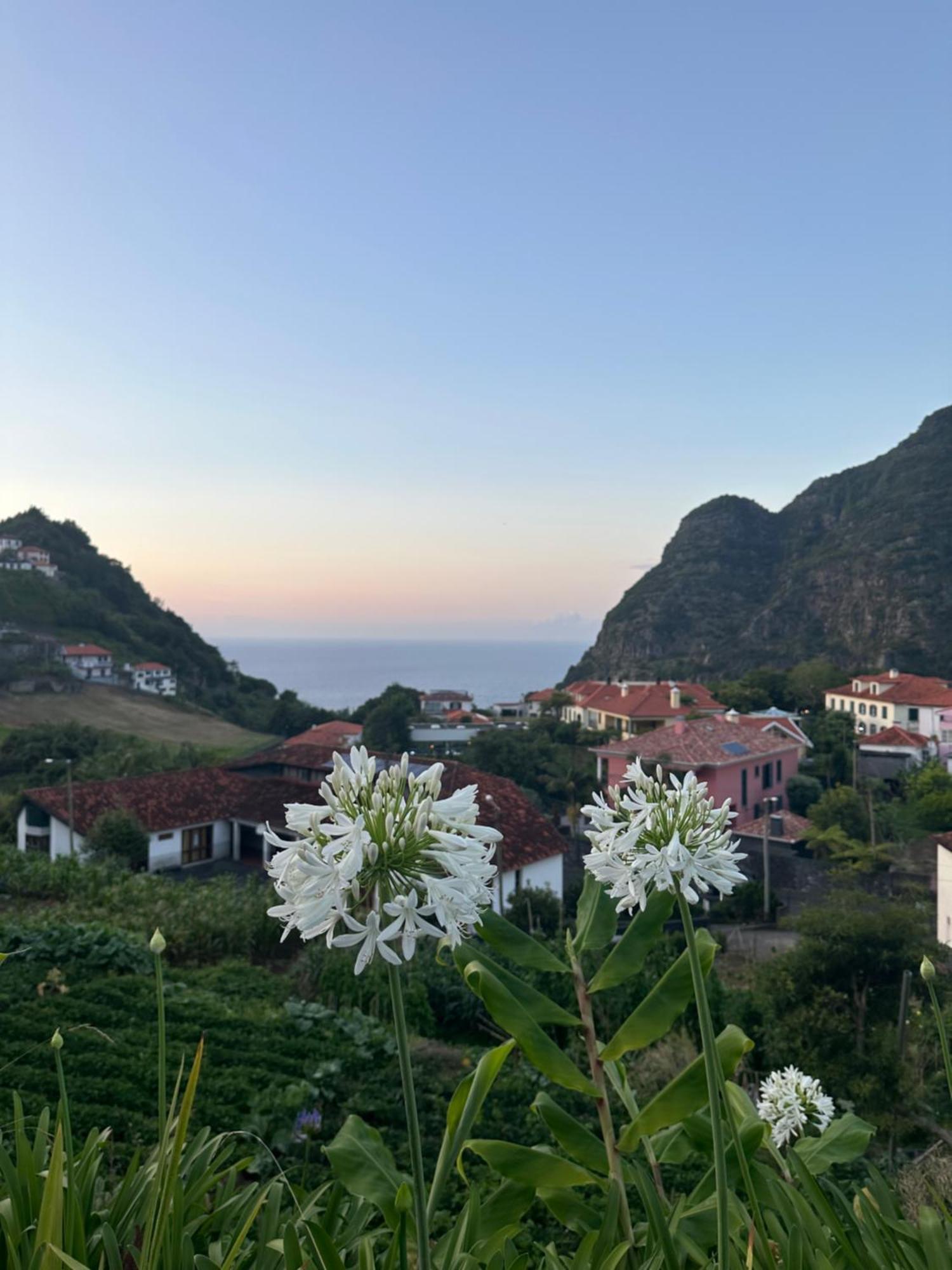 The Green Valley House São Vicente エクステリア 写真
